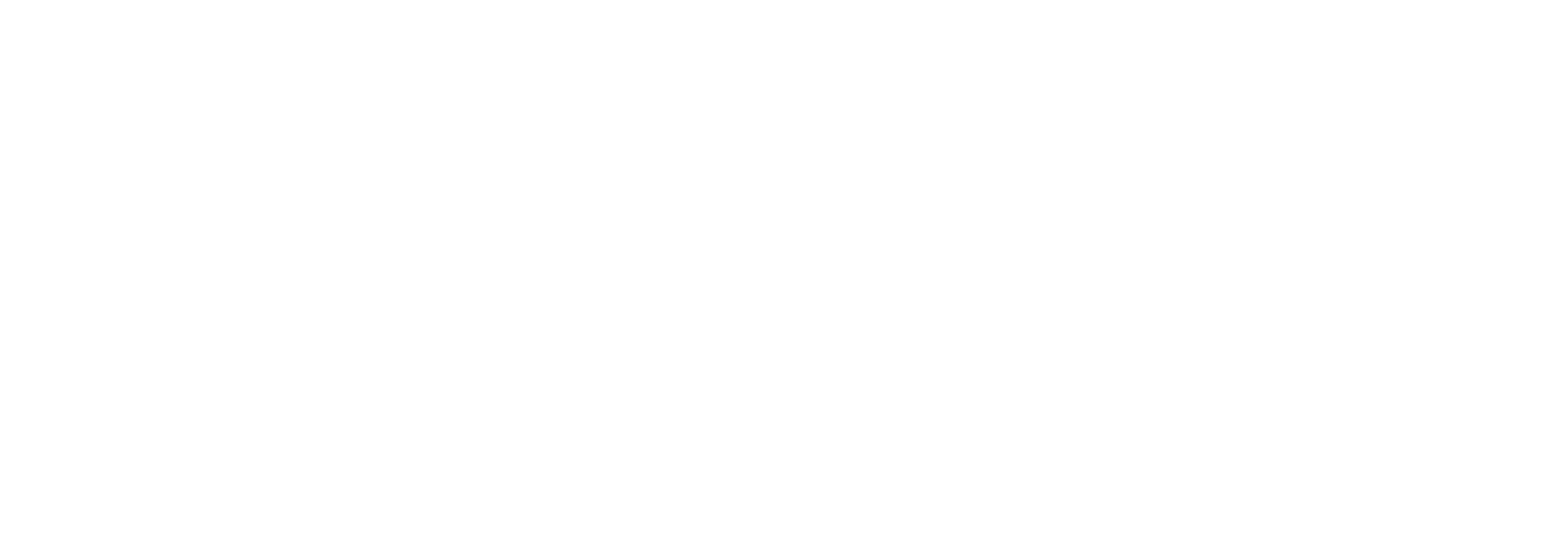 Leading Publishing Books