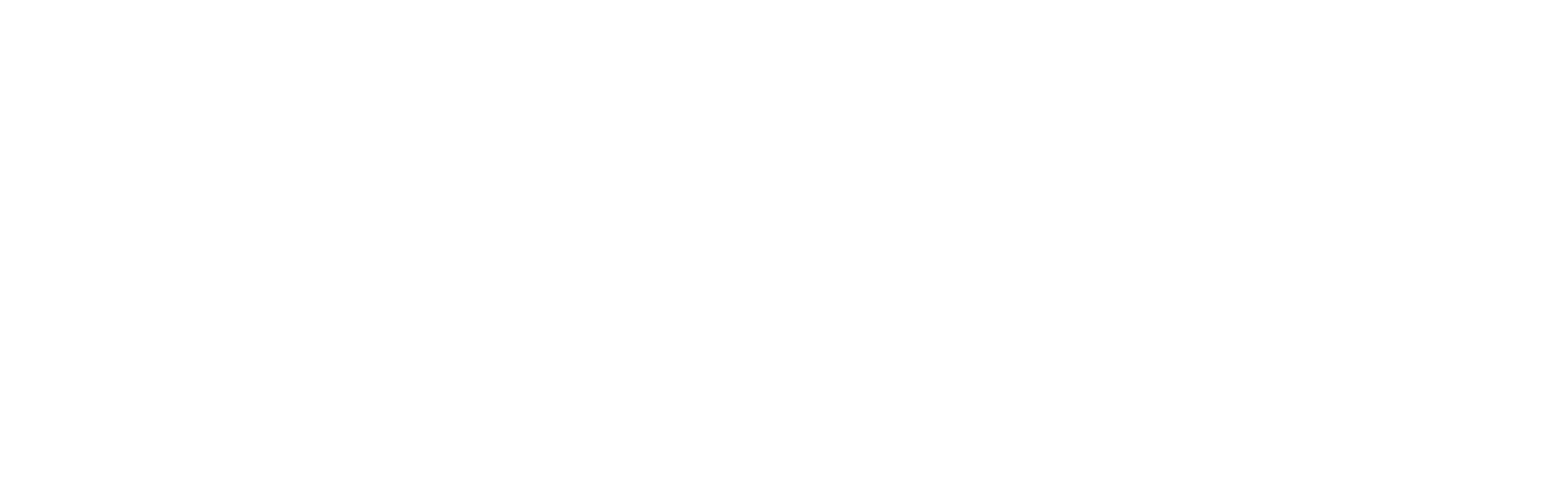 Leading Publishing